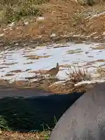 宝蔵寺(栃木県)