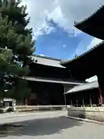 妙心寺(妙心禅寺)(京都府)