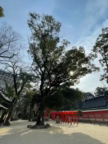 住吉神社の自然