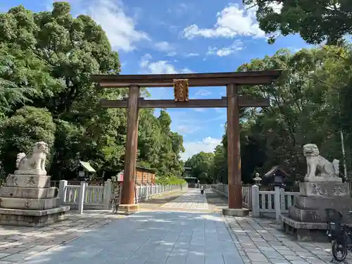 和泉國一之宮　大鳥大社の鳥居