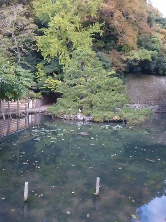 出雲大社(島根県)