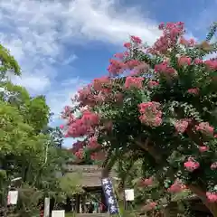 深大寺(東京都)