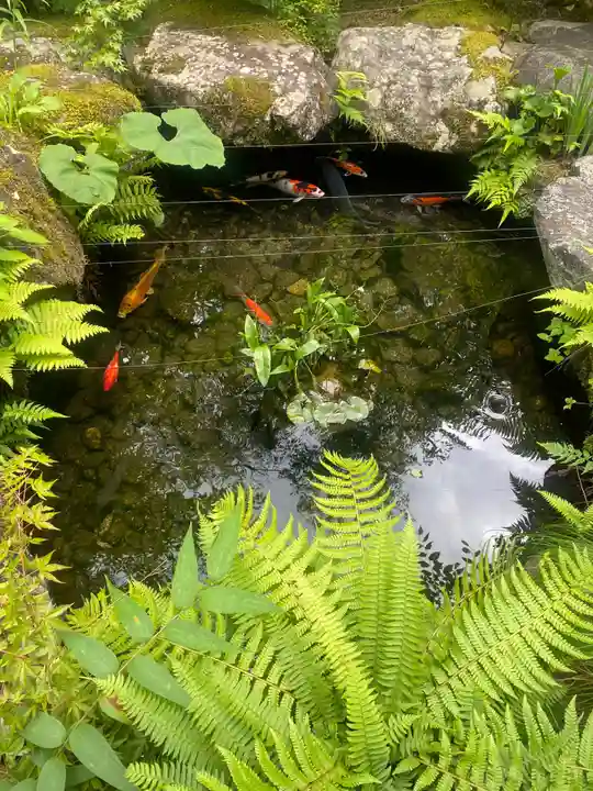 徳善院明王密寺(福島県)
