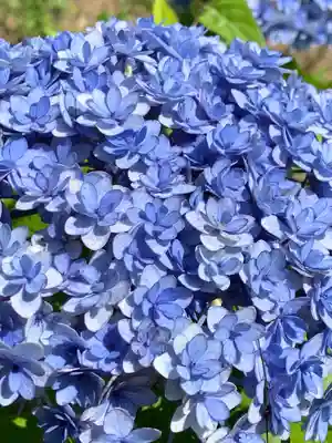 陽林寺(福島県)