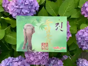 普門寺(切り絵御朱印発祥の寺)の御朱印(2021年06月06日(日) 08時56分19秒投稿)