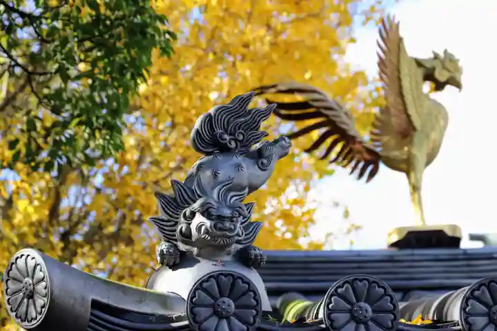 温泉山 安楽寺(四国霊場第六番札所)の狛犬