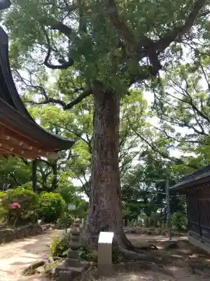 四條畷神社(大阪府)