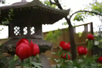 石光寺(奈良県)