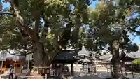 大聖観音寺(あびこ観音)(大阪府)