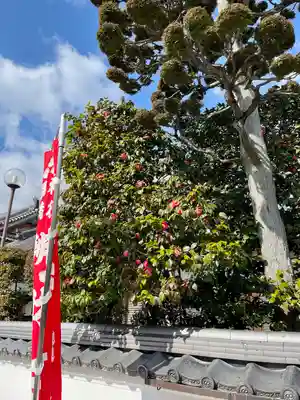 宝蔵院（寳蔵院）(兵庫県)