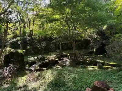 勝持寺（花の寺）(京都府)