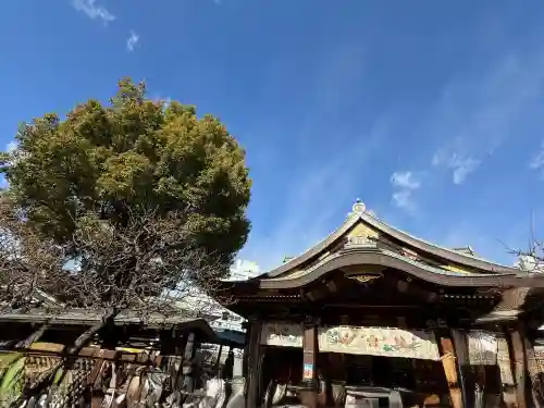 湯島天満宮の{uncategorized: "未分類", other: "その他", undefined: "問題あり", building: "その他建物", grave: "お墓", sacred_gate: "鳥居", guardian: "狛犬", statue: "像", buddha: "仏像", history: "歴史", nature: "自然", garden: "庭園", animal: "動物", pagoda: "塔", temizu: "手水舎", mountain_gate: "山門・神門", sanctuary: "本殿・本堂", subordinate: "末社・摂社", art: "芸術", scenery: "景色", jizo: "地蔵", ema: "絵馬", goshuin: "御朱印", omikuji: "おみくじ", items: "授与品その他", amulet: "お守り", goshuincho: "御朱印帳", eats: "食事", festival: "お祭り", votive_dance: "神楽", shichigosan: "七五三参", wedding: "結婚式", experience: "体験その他", initially: "初詣", around: "周辺", anti_infection: "感染症対策"}