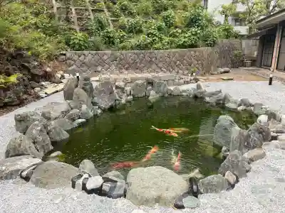白金氷川神社(東京都)