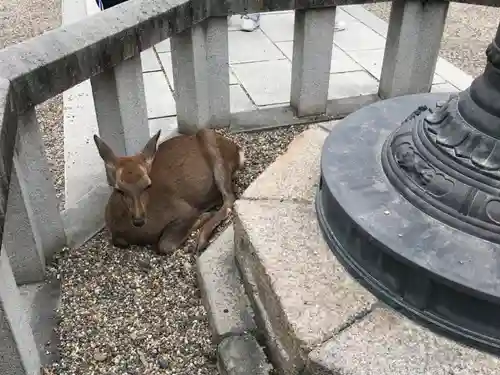 興福寺 南円堂(奈良県)