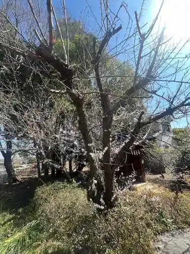 玉敷神社(埼玉県)