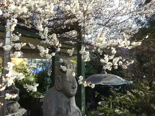 玉眞院玉川大師の自然