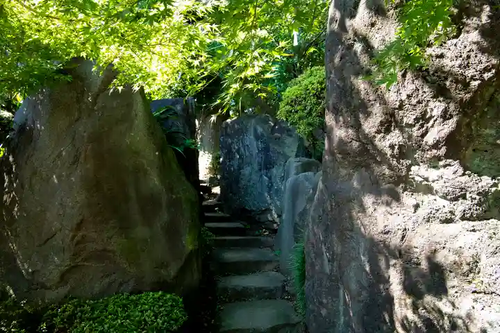 渋川八幡宮(群馬県)