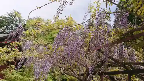 新海三社神社の像