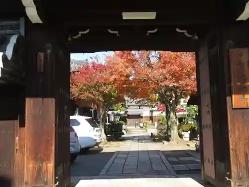 西向寺の山門・神門
