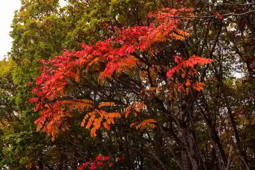 横岳神社(長野県)
