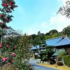 應賀寺の建物その他