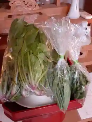 伏木香取神社(茨城県)