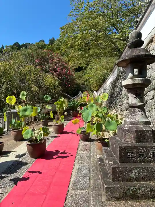 長谷寺(奈良県)