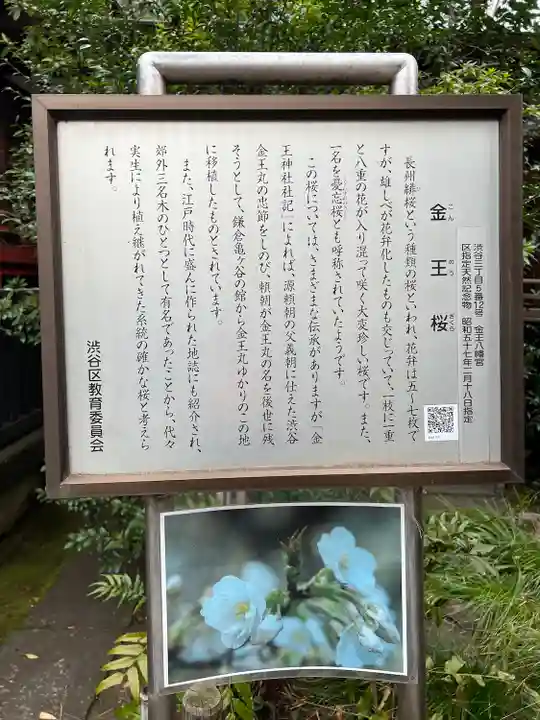 金王八幡宮(東京都)