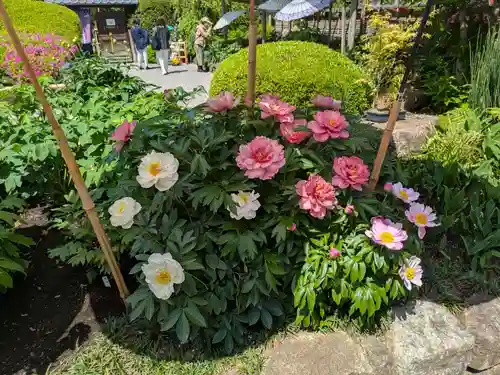 上野東照宮(東京都)