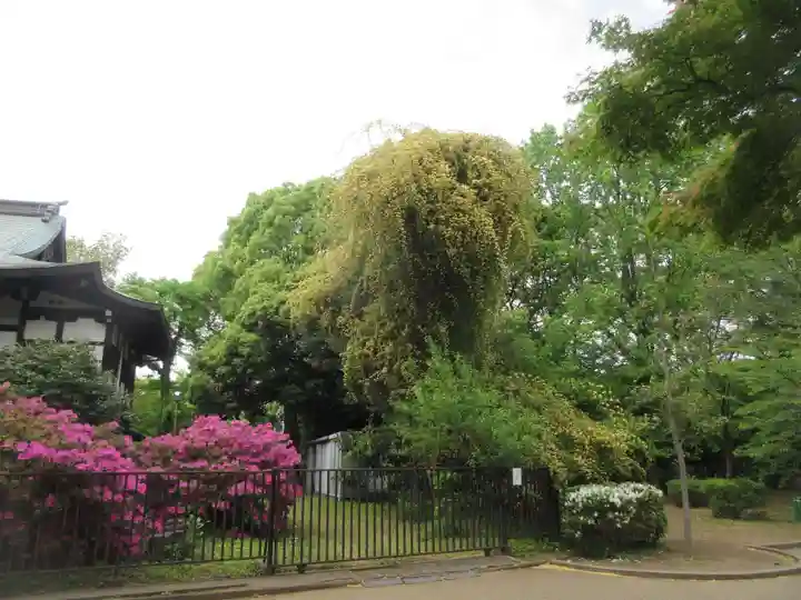 清水観音堂(東京都)