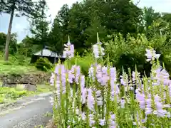 菱野健功神社の自然