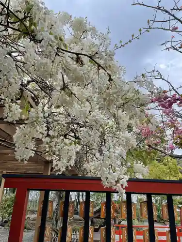 旗上弁財天社の自然