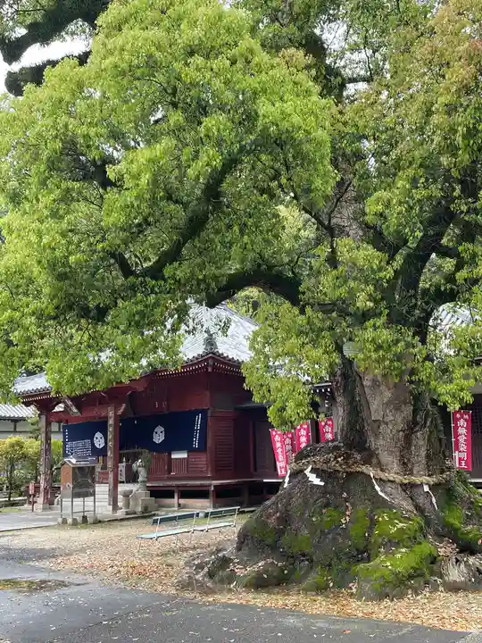 観音寺(香川県)