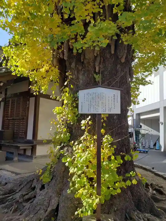 稼穡稲荷社(東京都)