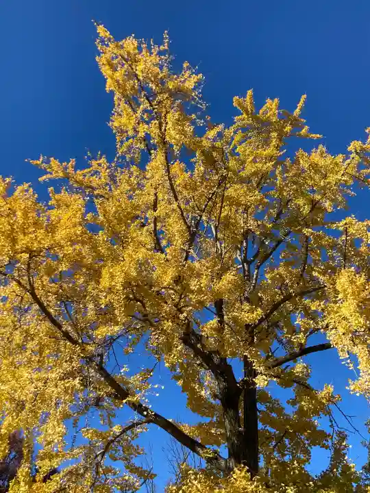 三囲神社(東京都)