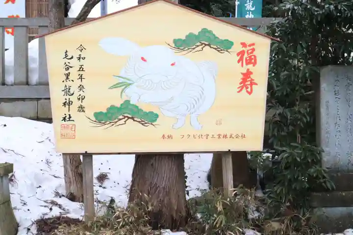 毛谷黒龍神社の絵馬