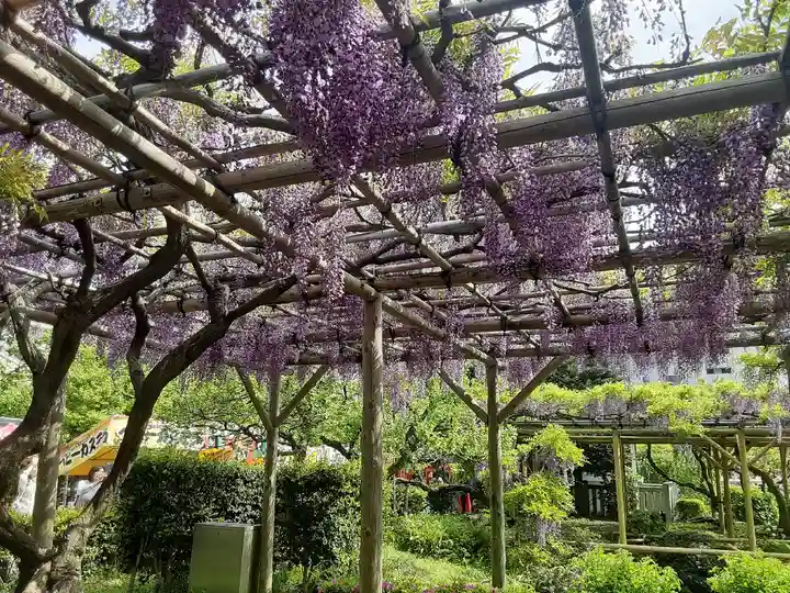 亀戸天神社(東京都)