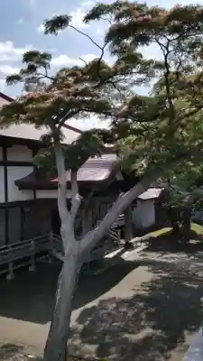 帰厚院(北海道)