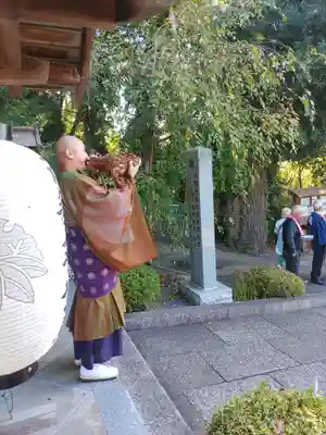 徳星寺(埼玉県)