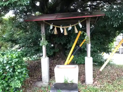 天御子神社の手水