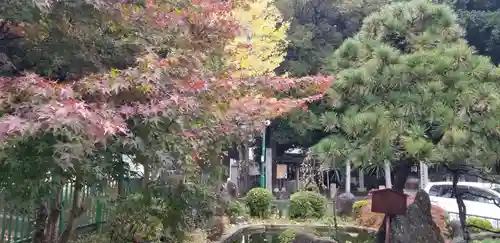 浅間神社(千葉県)