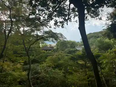 慈照寺(慈照禅寺・銀閣寺)の庭園