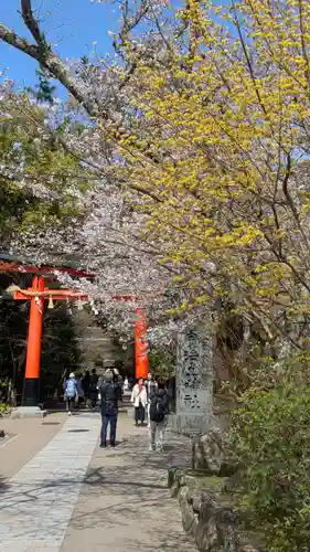 宇治上神社の鳥居