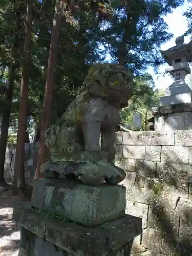 大井俣窪八幡神社の狛犬