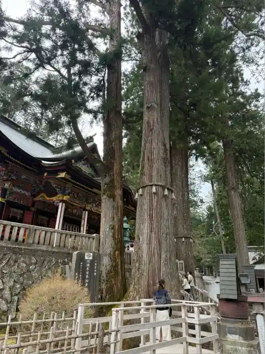 三峯神社(埼玉県)