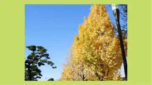 大嘗宮(東京都)