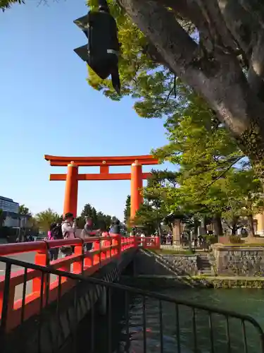 平安神宮の鳥居