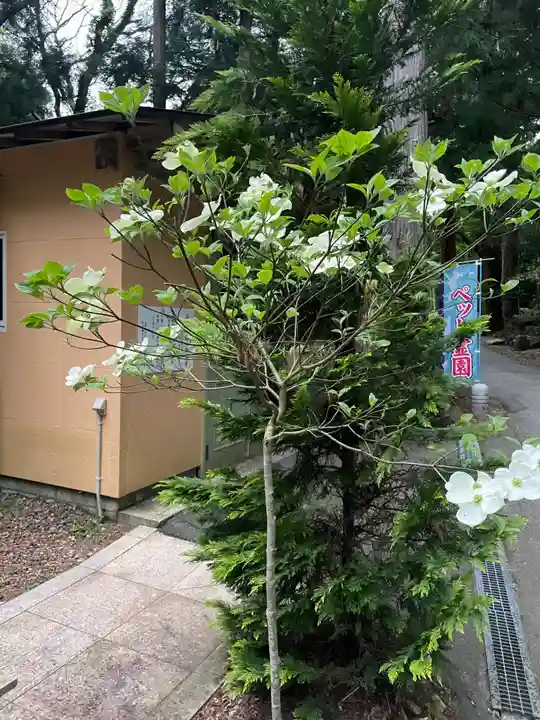 国上寺(新潟県)