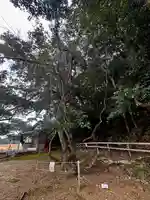 磯辺神社(京都府)
