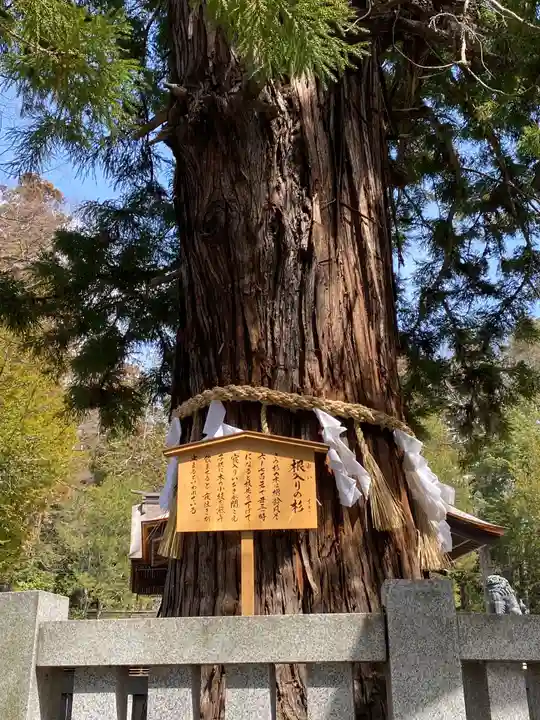 諏訪大社下社秋宮の自然